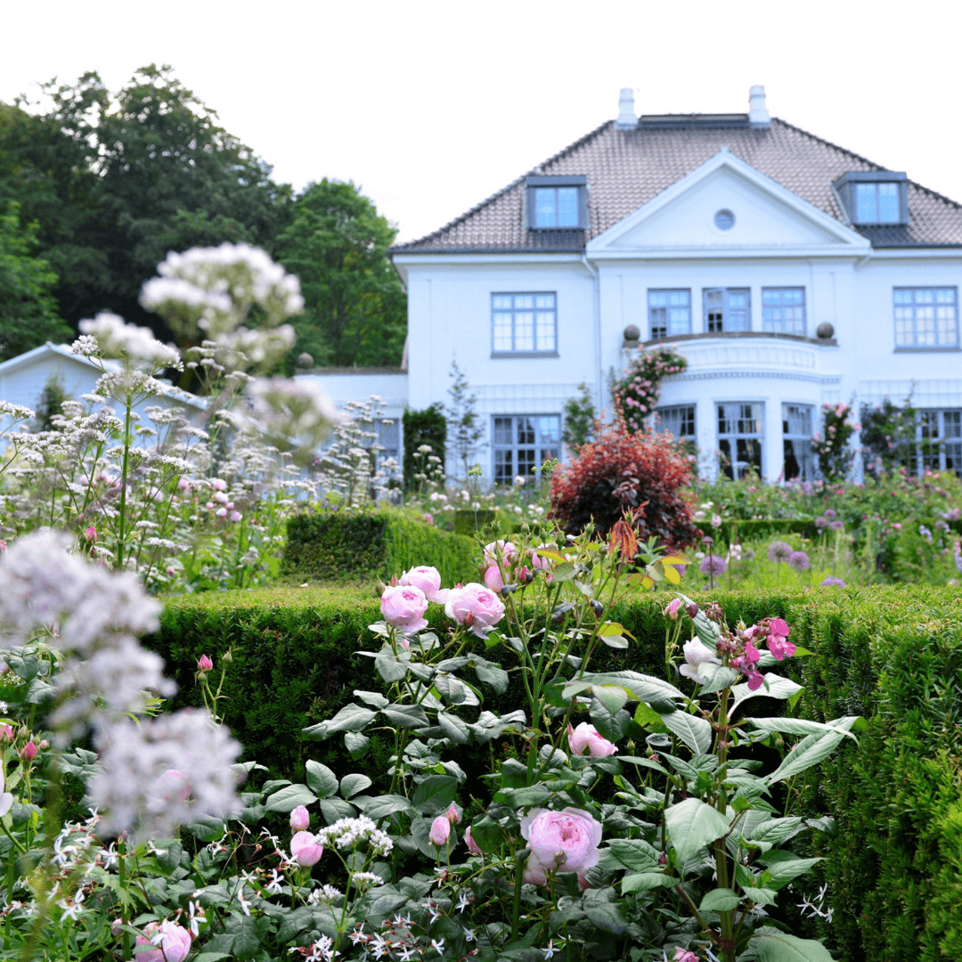 Havens gøremål juni
