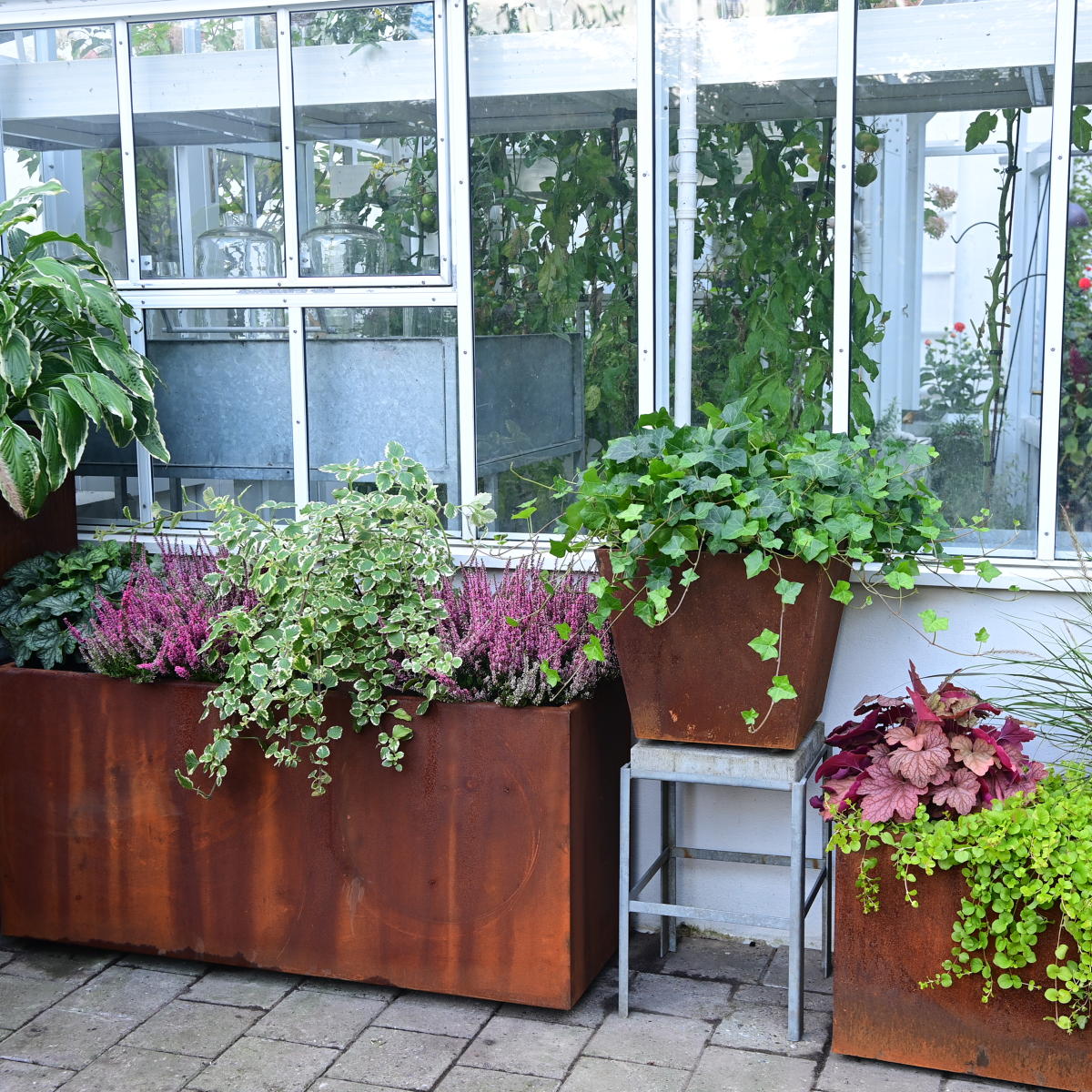 PLANTEKASSER