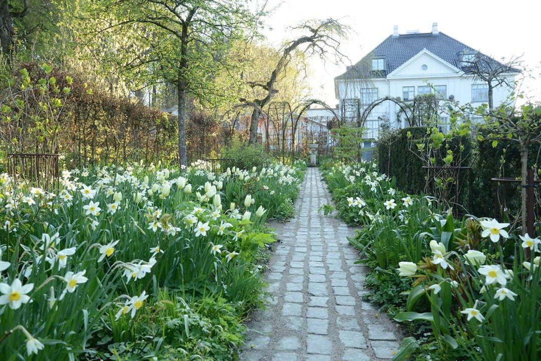 blog-det-hvide-bed-header