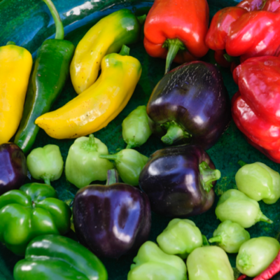 Chilier og peberfrugter