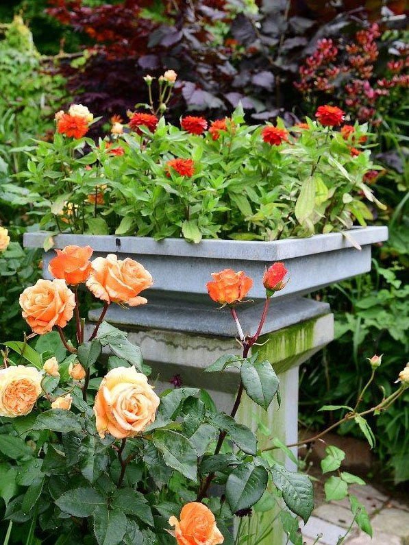 flamme-bed-orange-dalby